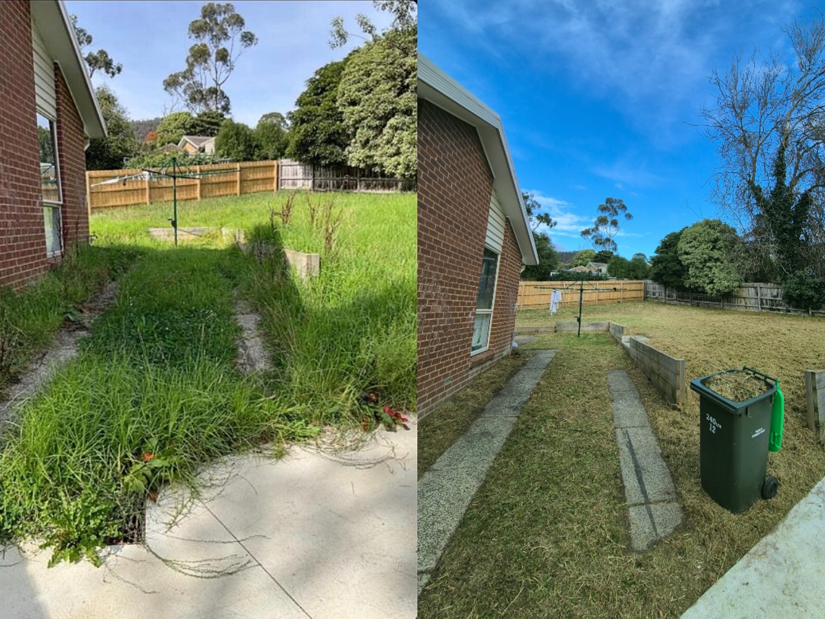 Large Yard Tidy-Up