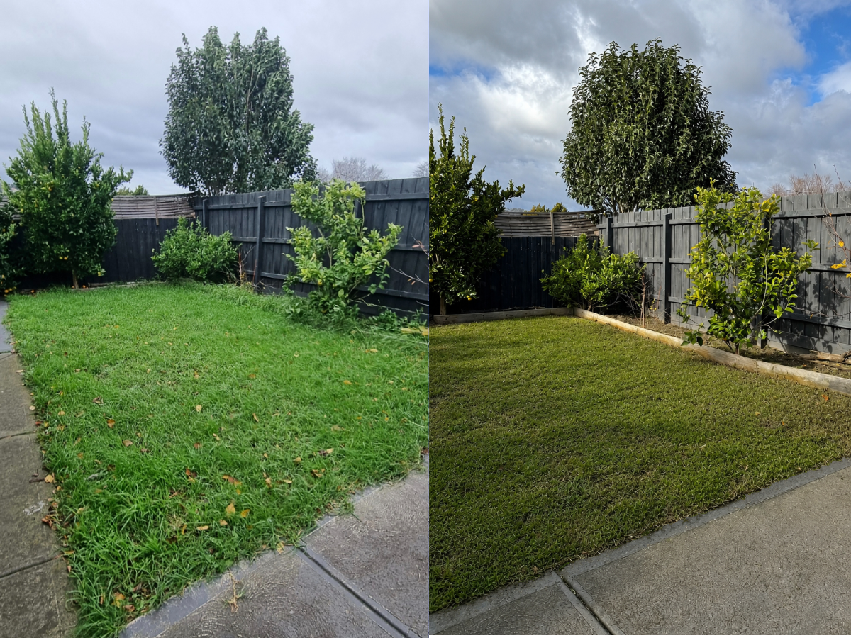 Lawn Maintenance