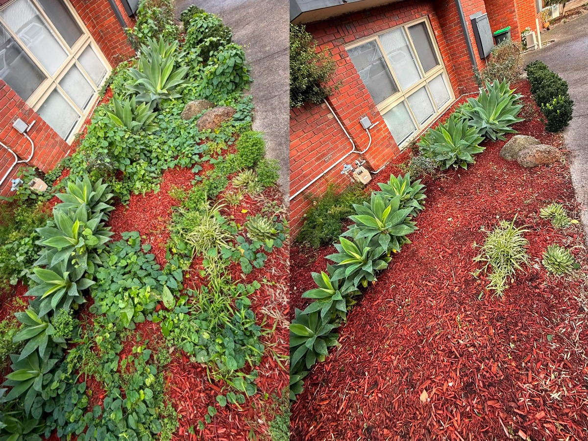 Garden Bed Maintenance