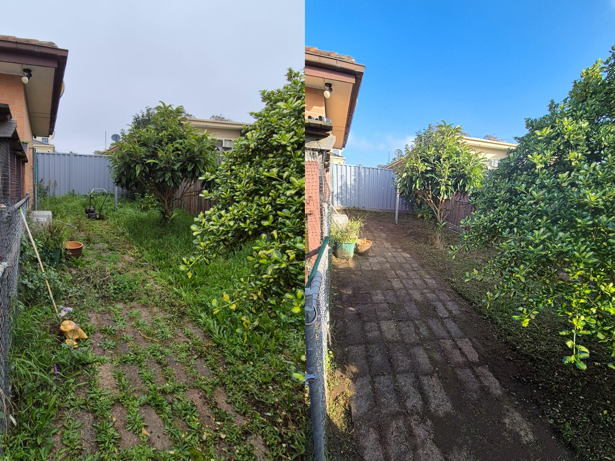 Before and after side-area garden clean-up