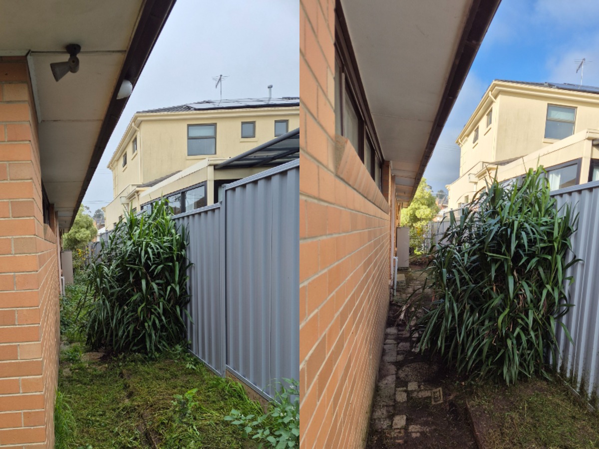 Side Path Clean-Up