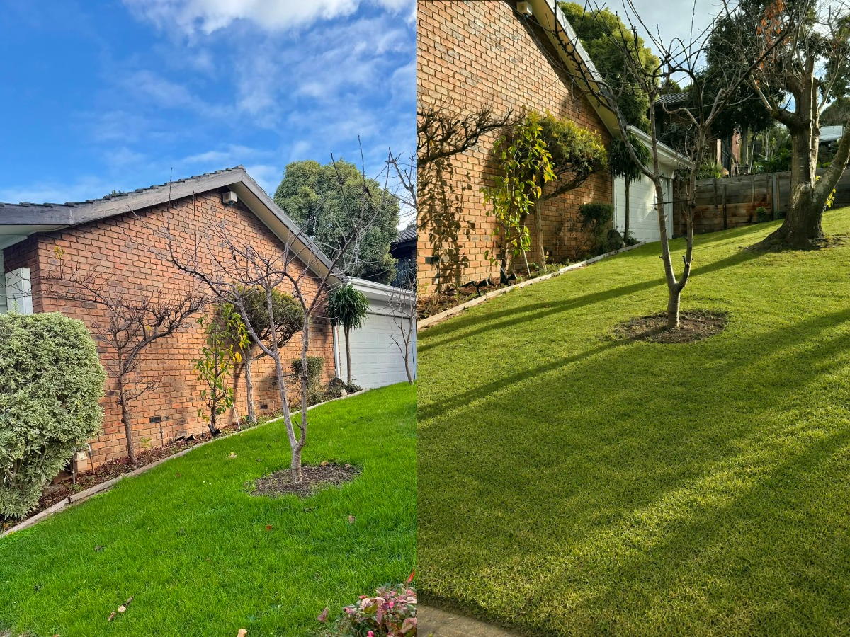 Slope & Lawn Maintenance