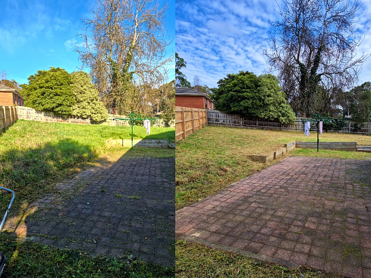Backyard Clean-Up